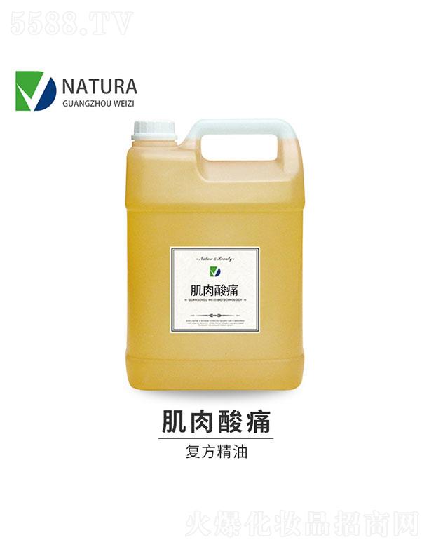 �V��΢������Ƽ����޹�˾��΢�˼�����ʹ�ͷ�����