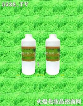 ������ɼ�¶