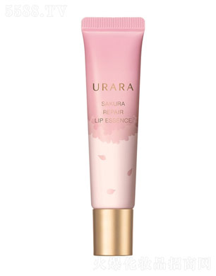 ���Rů�ь��o(h��)�������A��12g