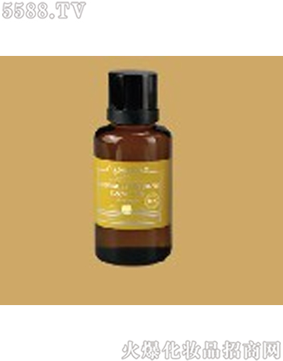 ���Ę����ןo��{(di��o)������