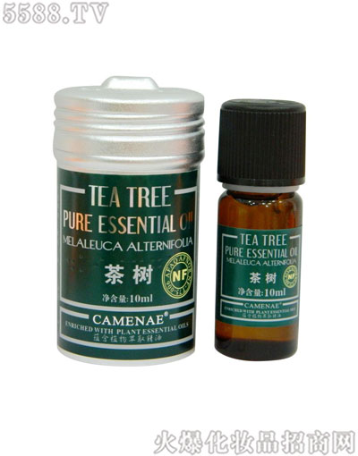 ���Ę���������侫��