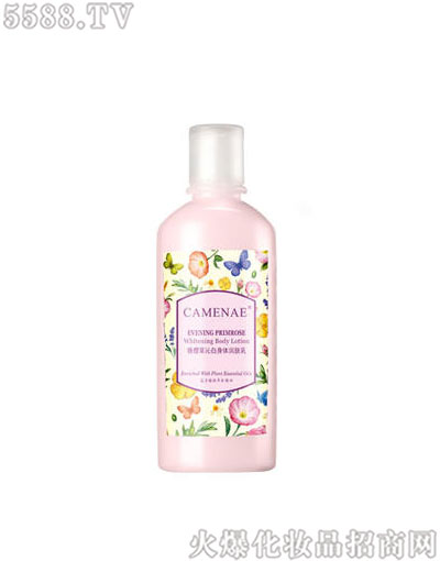 ���Ę�(l��)��Ѳ��߰����w��(r��n)�w��