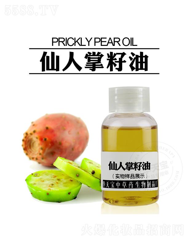 �A�쌚����������