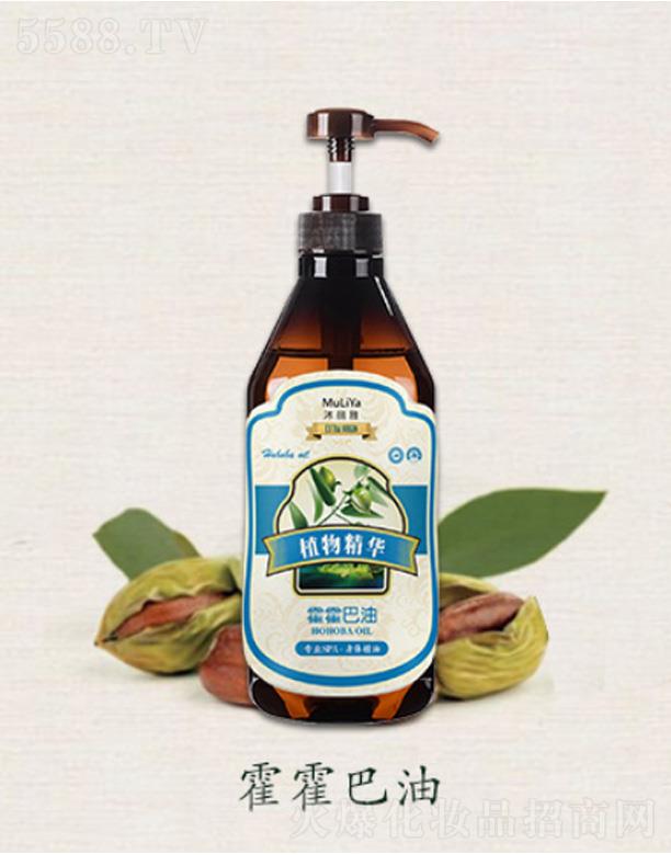 �����Ż�����