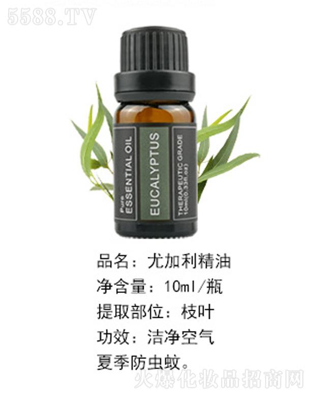 �ȼ������� 10ml