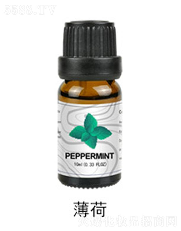 ������޹����