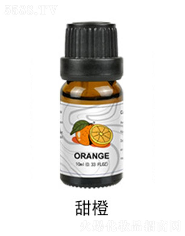 �����޹����