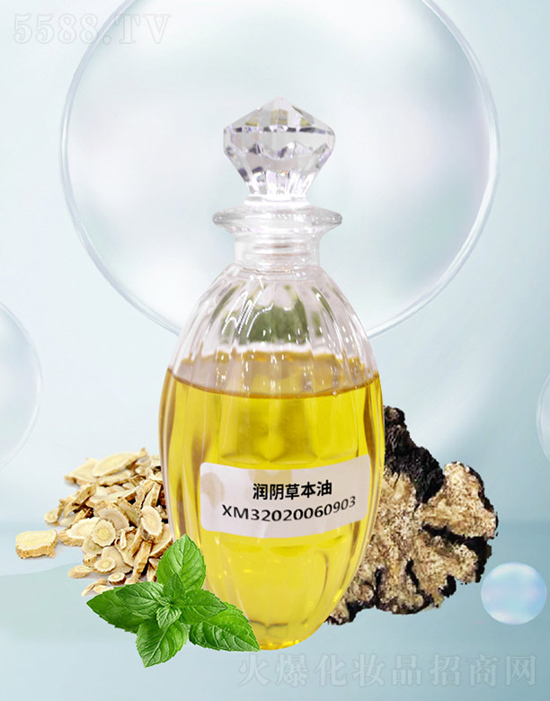 ��ꎲݱ���