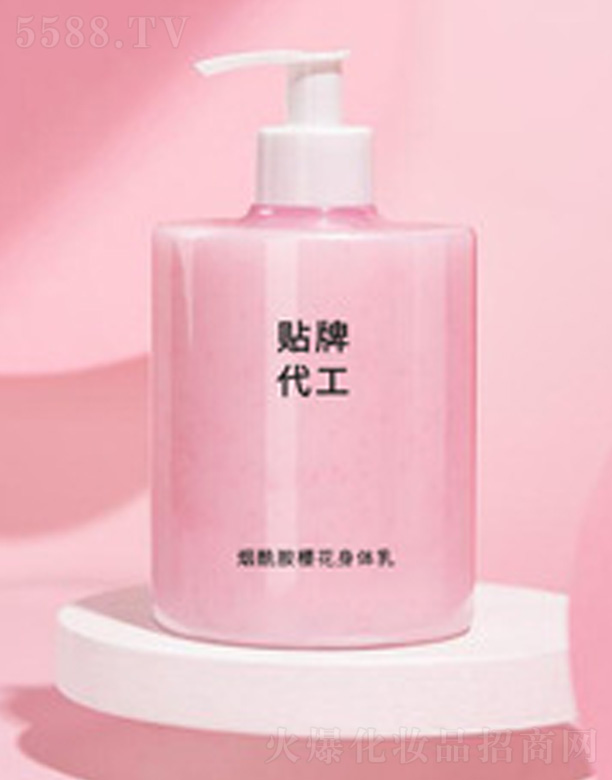 �������ѻ����w����ӹ�