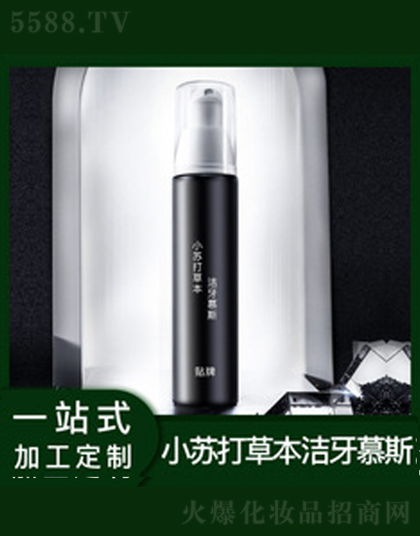 ��ʿ����Ľ˹