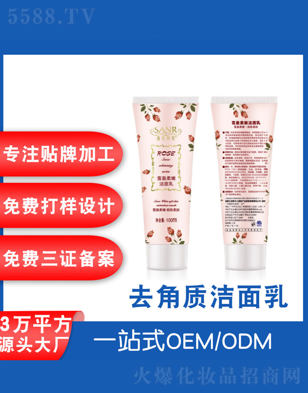 ȥ���|(zh��)������