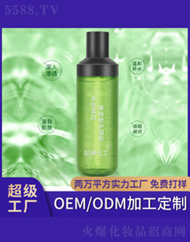 ���ĵ������o���z