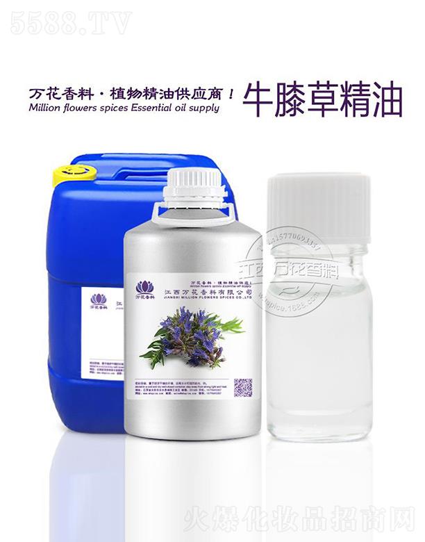 �f��ţϥ�ݾ���