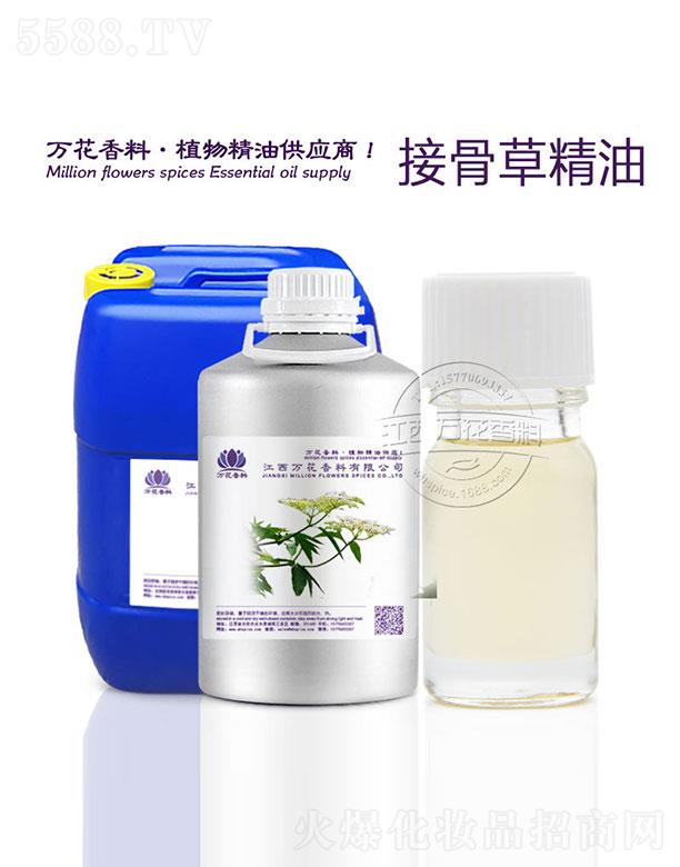 �f���ӹǲݾ���