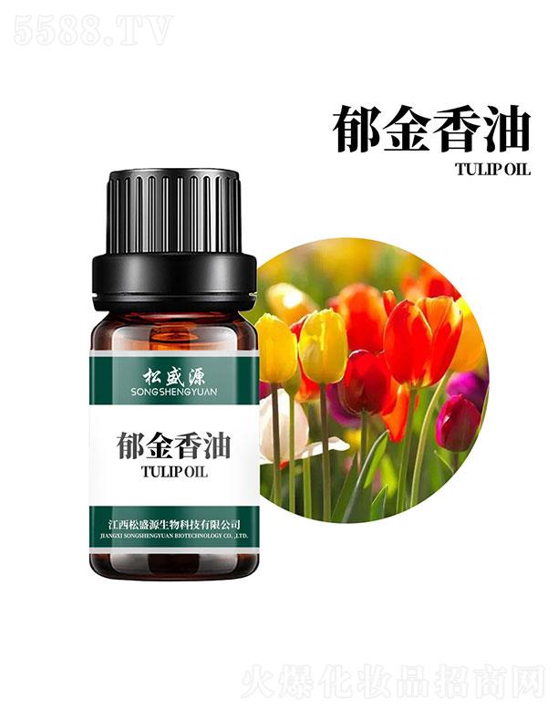 ��ʢԴ��������