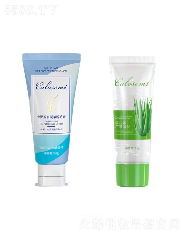 ���_ʥ������Óë�M��