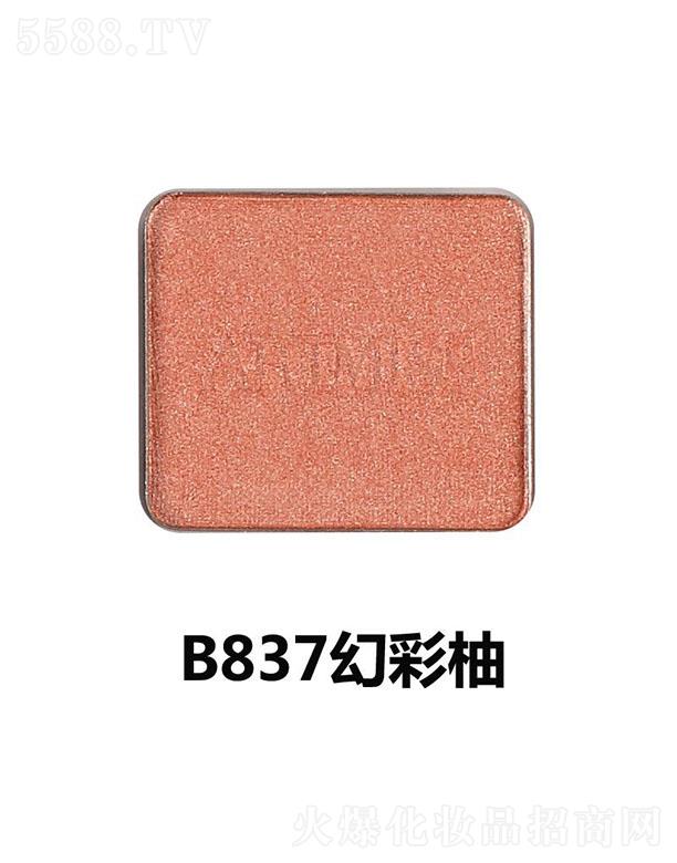 Ψ���������Ӱ�P�M��B837�ò���