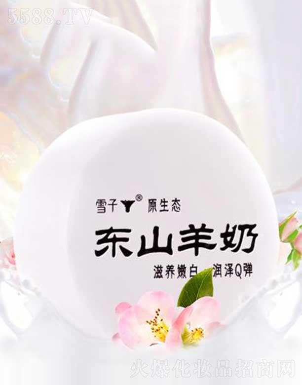 ѩ�Ӗ|ɽ����ˮ����Դ�ֹ���