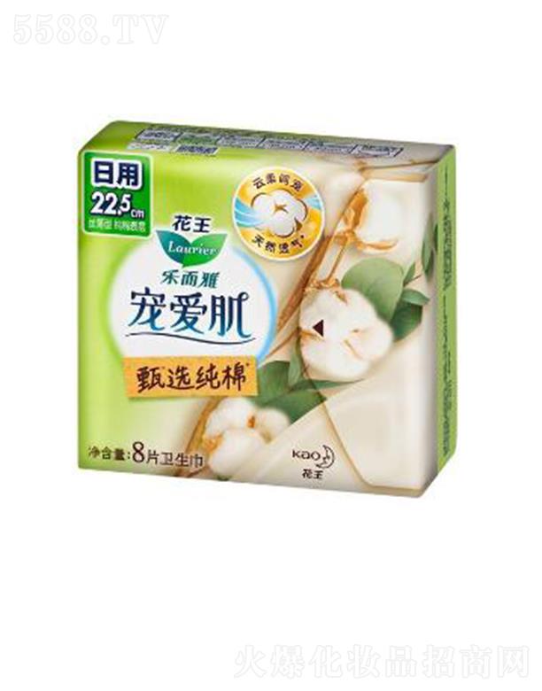 �����Ō��ۼ����x���޽z����22.5cm��8p��ס������ܛ