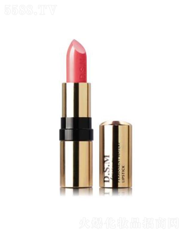 D.S.M��z������ˮ�д���05 �֏͏�������