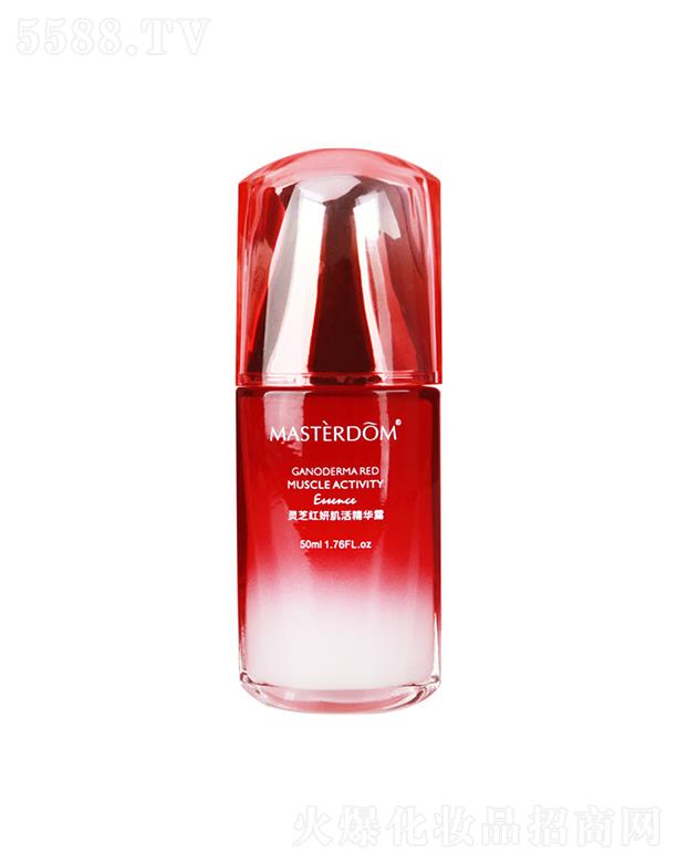 MASTERDOM�`֥�t�м���AҺ  ���o���w   ��������