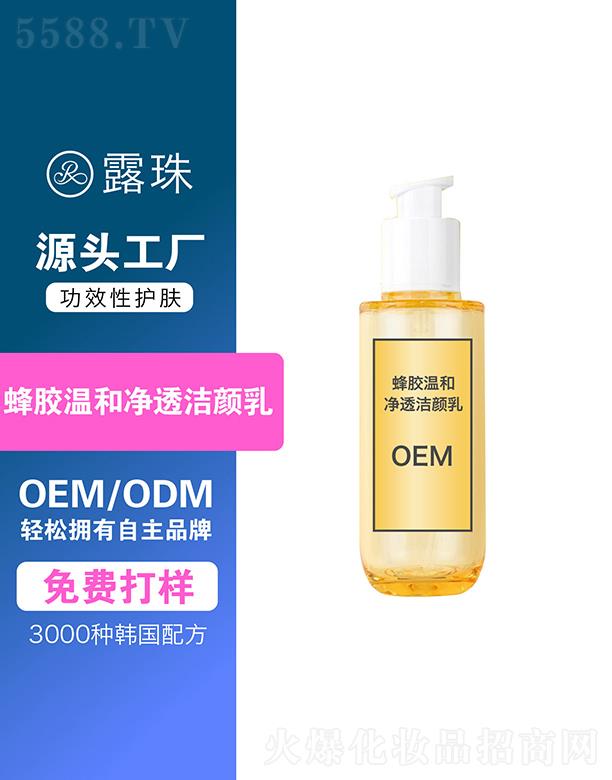 ¶������Ƽ�   �ؑc¶����z�غ̓�͸�����   ����坍