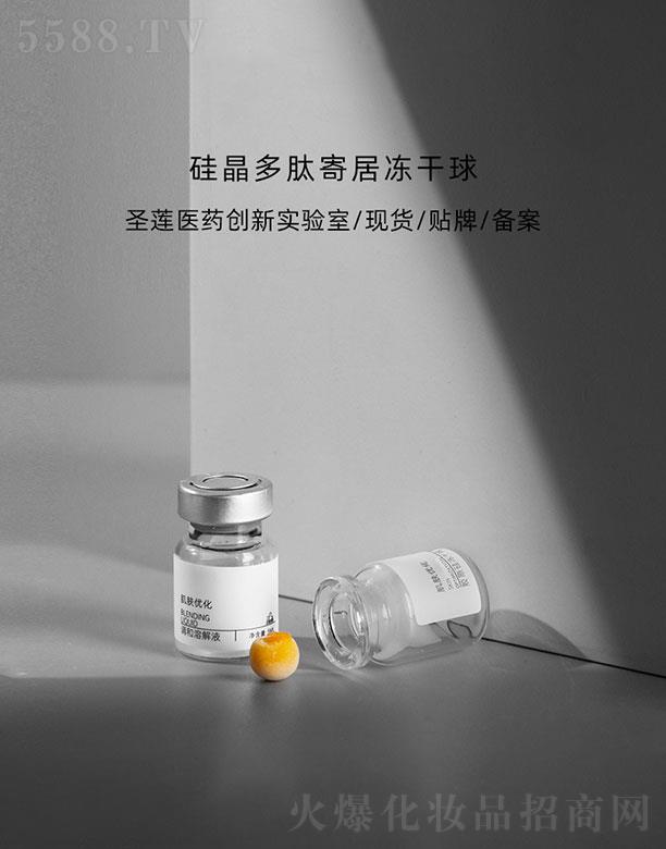 �V��ʥɏ  ʥɏ�辧���ļľӃ�����   �����o��   ë���ռ�