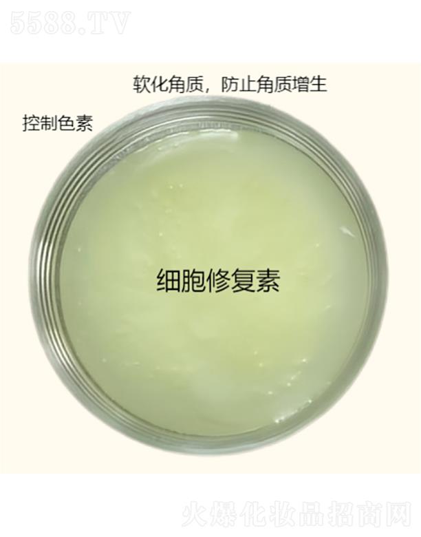 �����ޏ�(f��)��