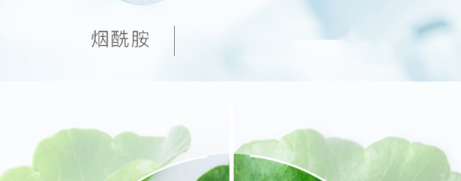 ѩ�m��ˮ��ԭҺ�{�w��Ĥ