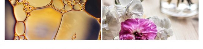 �����_��侫��